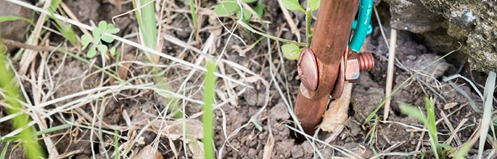Ground wire